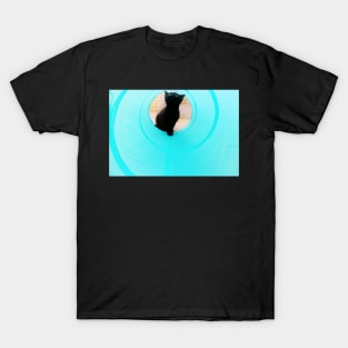 Is This Where The Magic Lives? T-Shirt